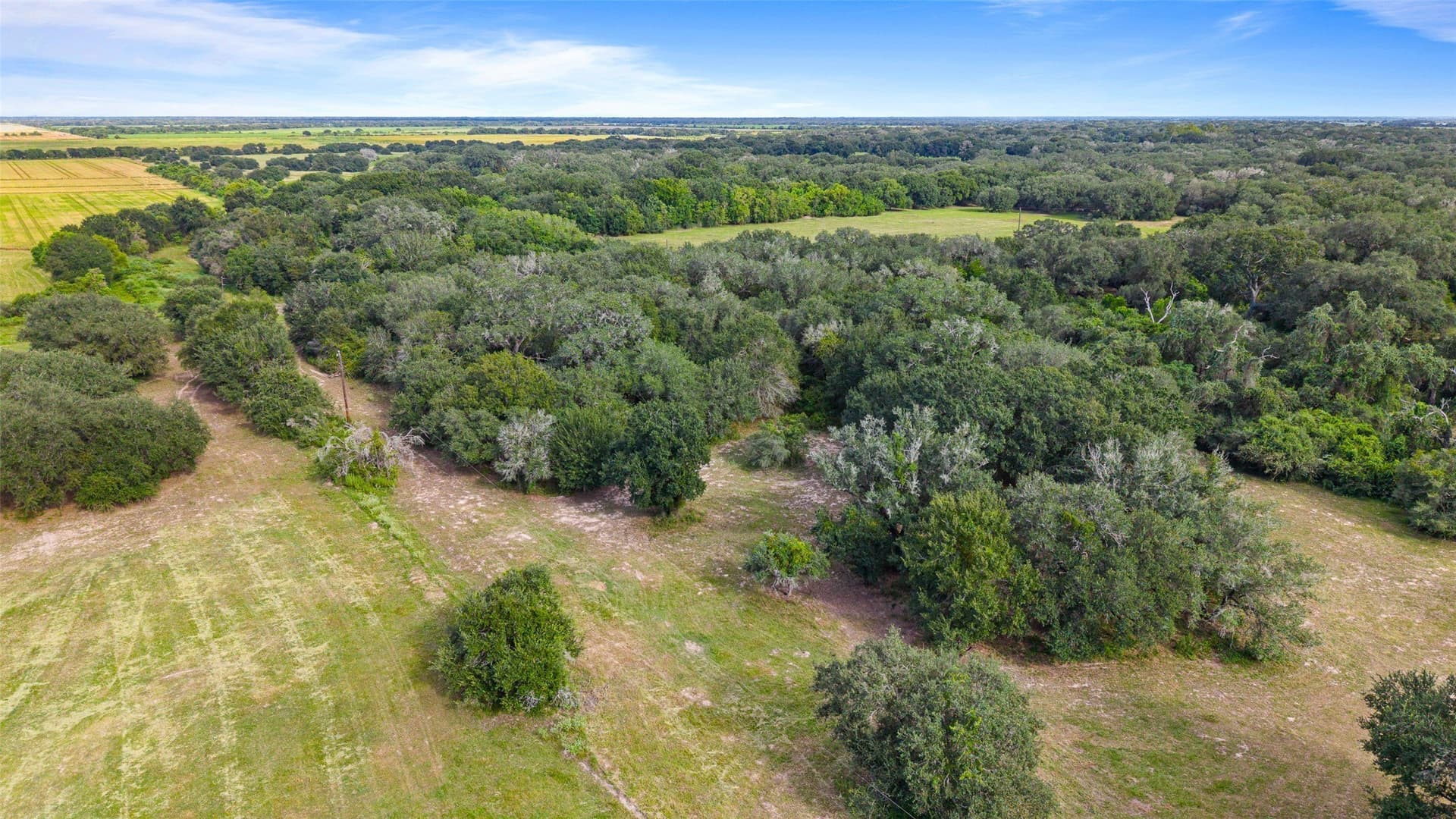 211 acres in Wharton County - photo 18