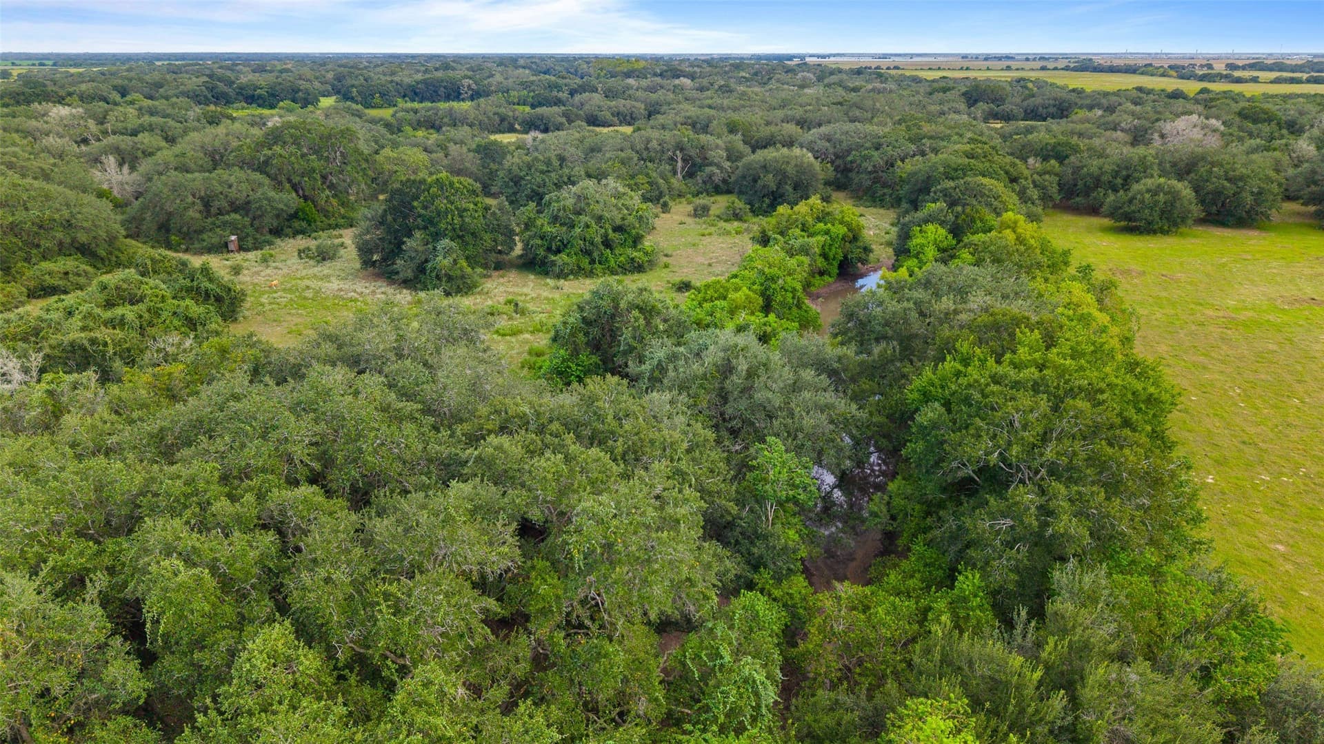 211 acres in Wharton County - photo 26