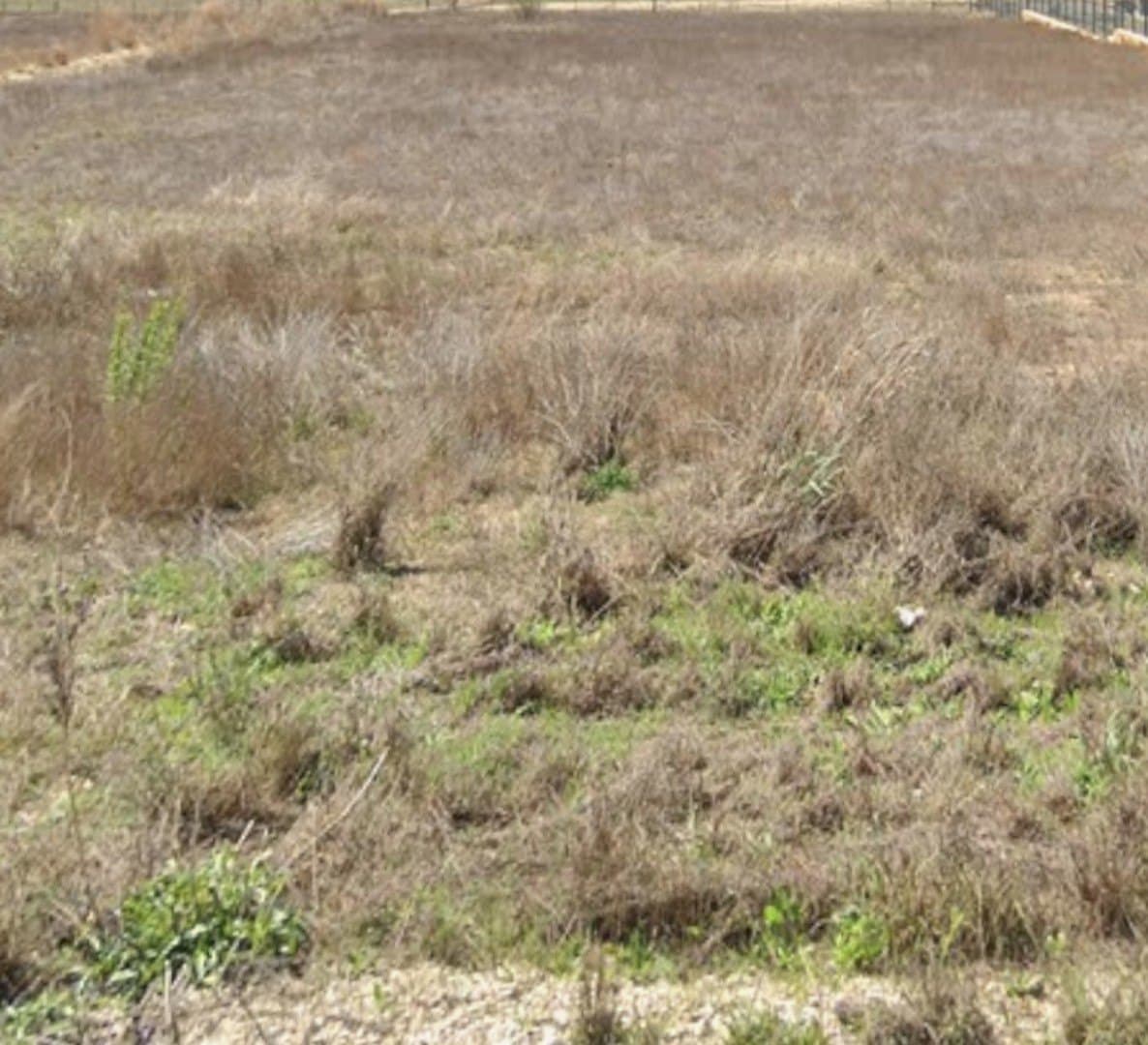 1.01 acres in Comal County - photo 4