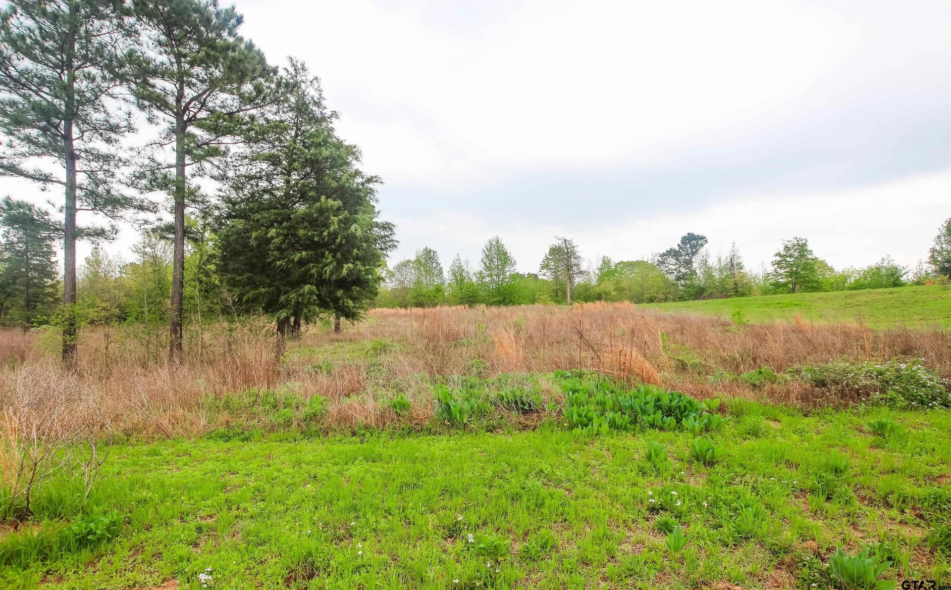 5.2 acres in Smith County