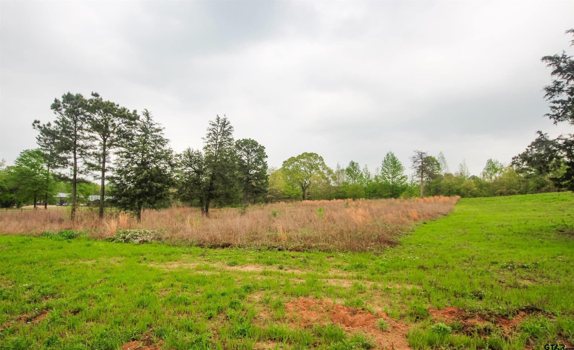 5.2 acres in Smith County gallery image 2