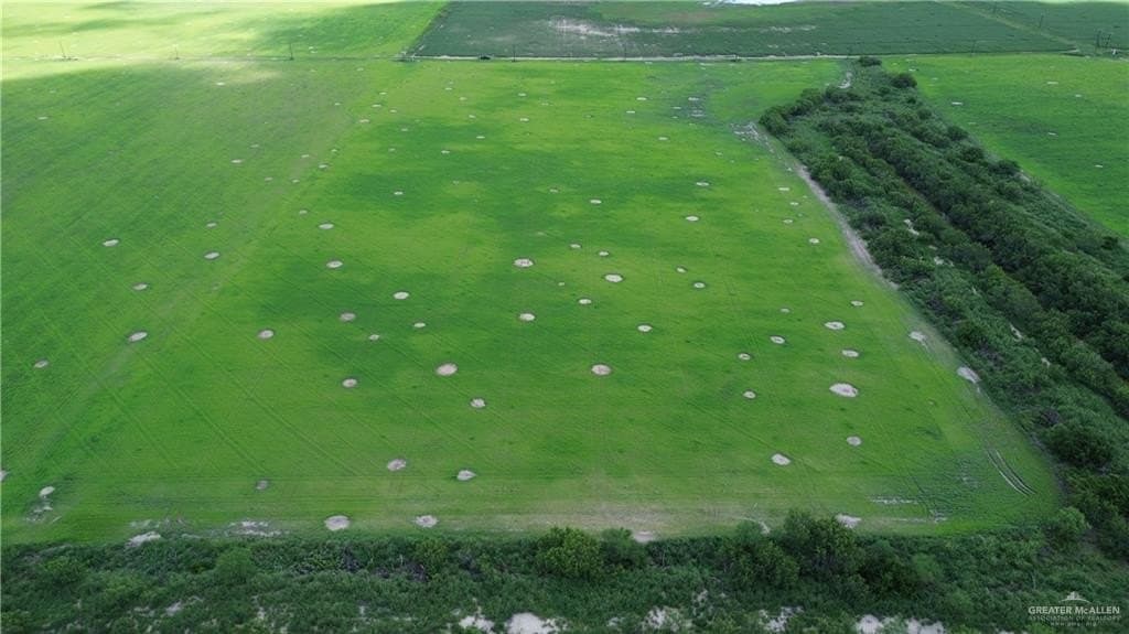 18.39 acres in Hidalgo County - photo 7