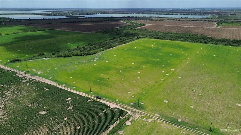 18.39 acres in Hidalgo County gallery image 4