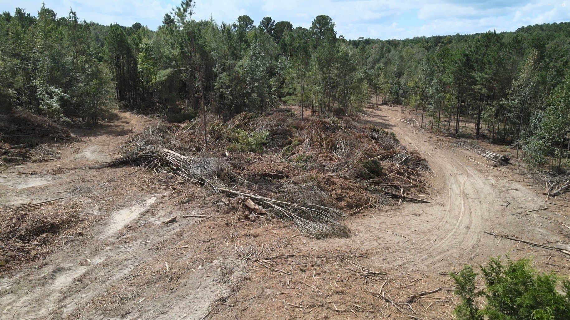 24.6 acres in Rusk County - photo 12