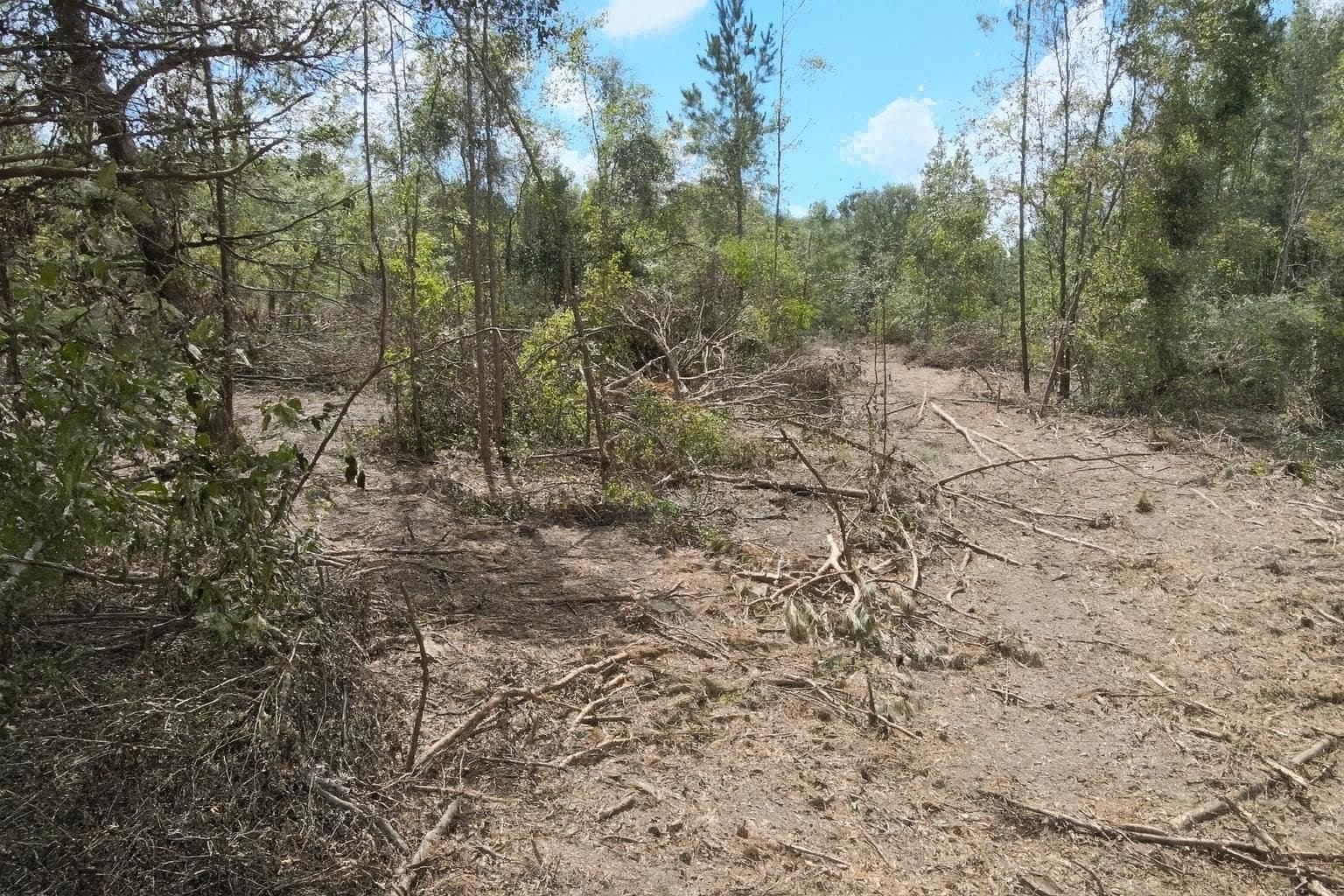 24.6 acres in Rusk County - photo 8