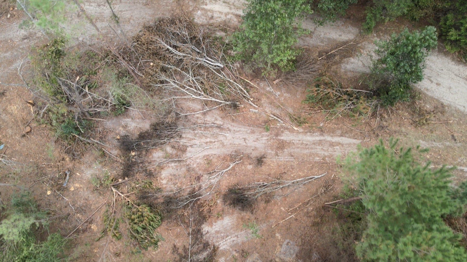 24.6 acres in Rusk County - photo 3