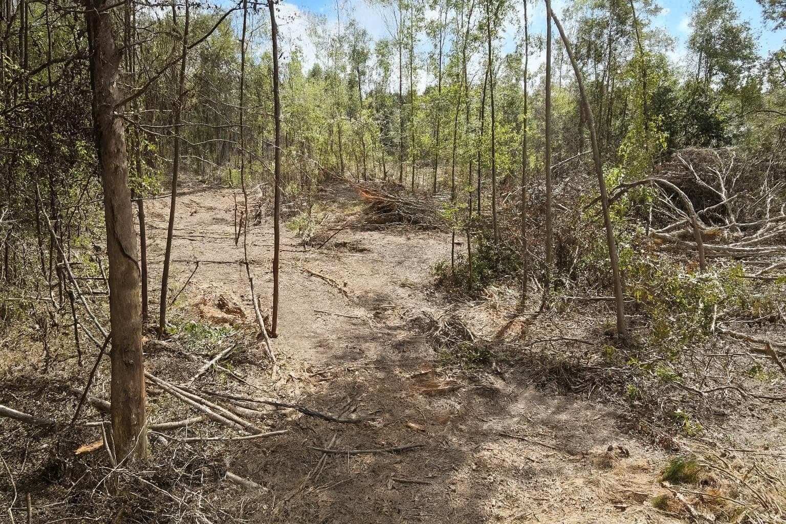24.6 acres in Rusk County - photo 7
