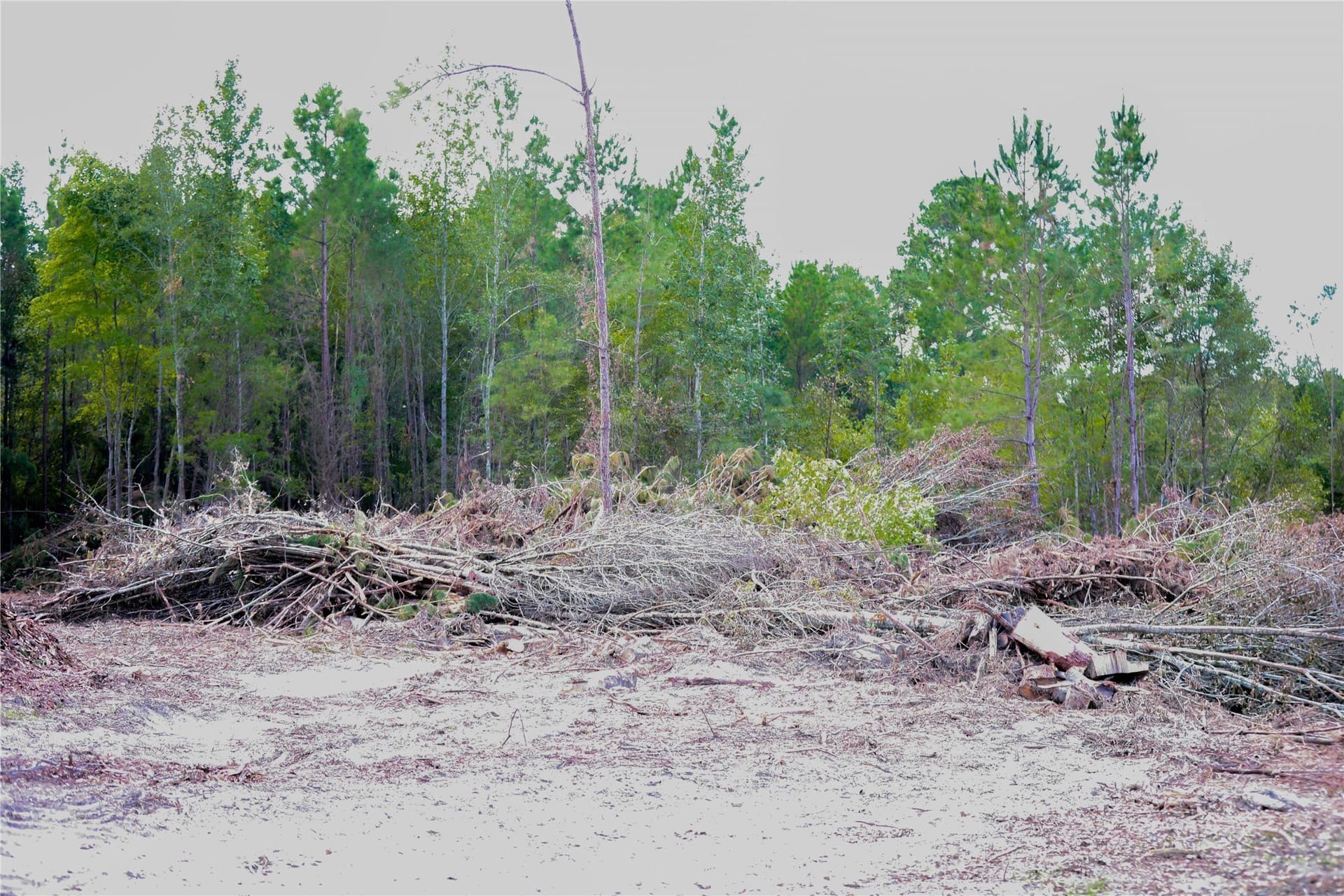 24.6 acres in Rusk County - photo 9