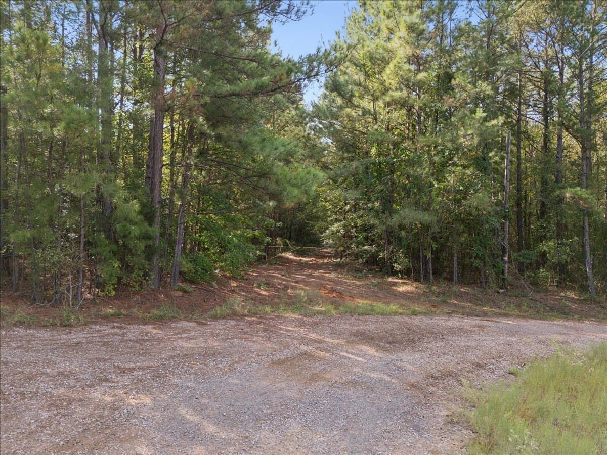 24.6 acres in Rusk County - photo 6