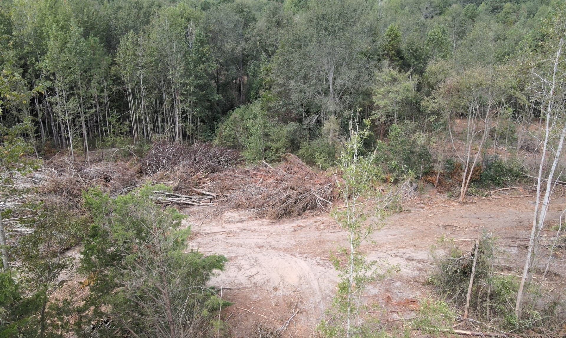 24.6 acres in Rusk County - photo 14