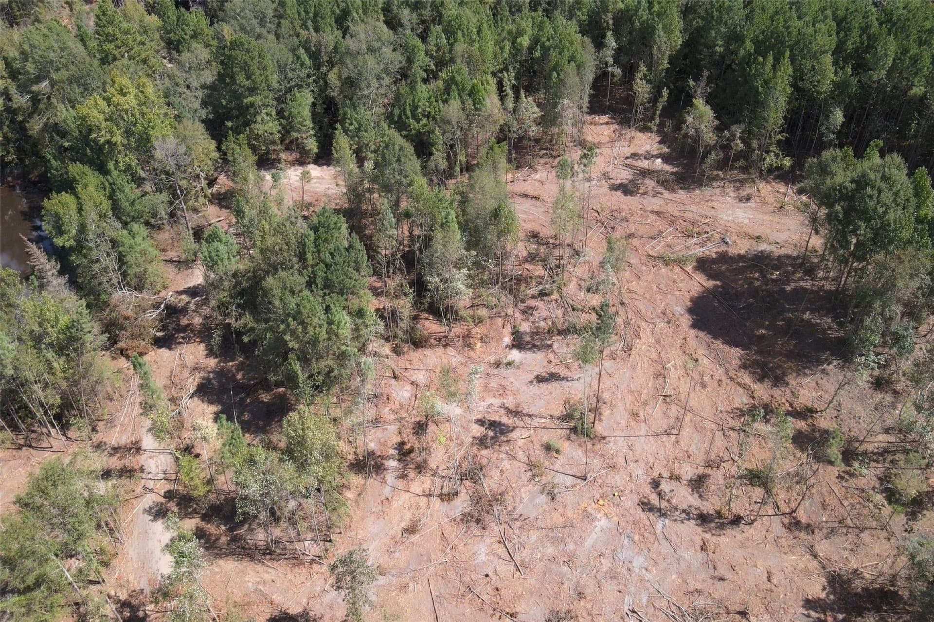 24.6 acres in Rusk County