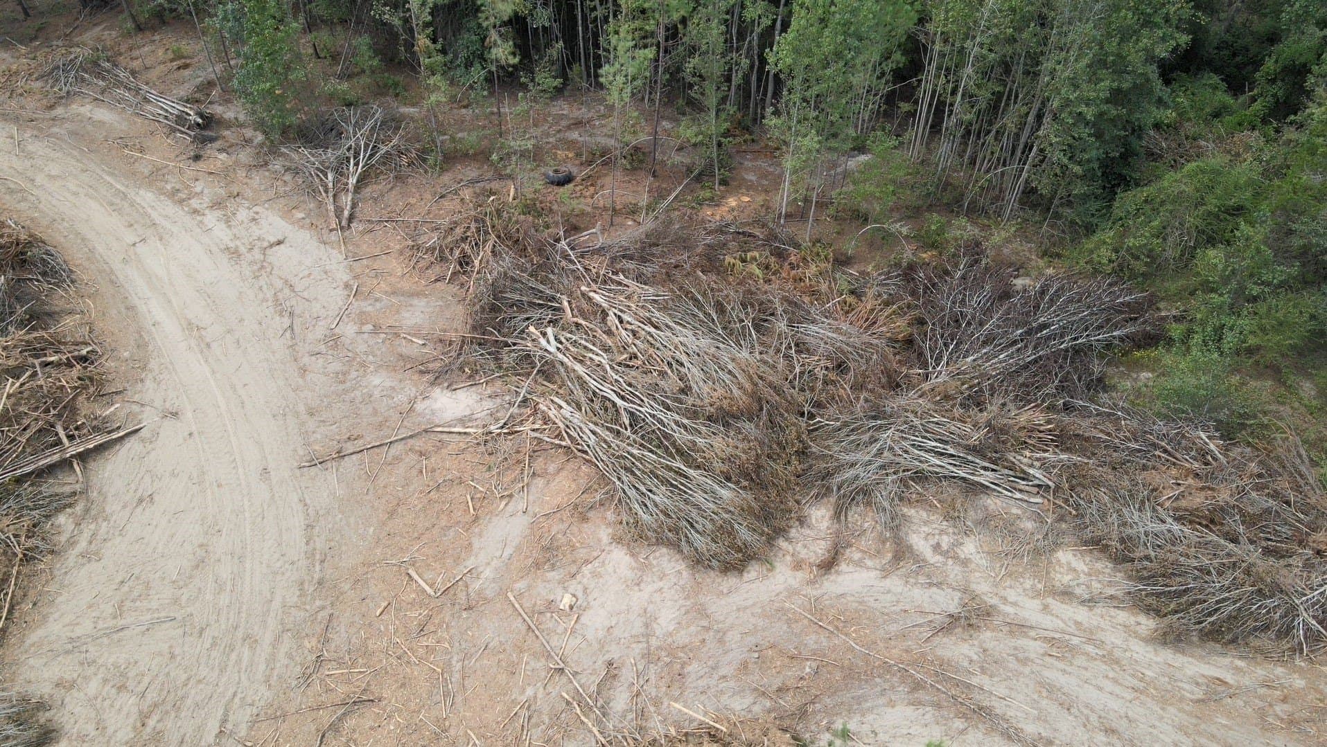 24.6 acres in Rusk County - photo 10