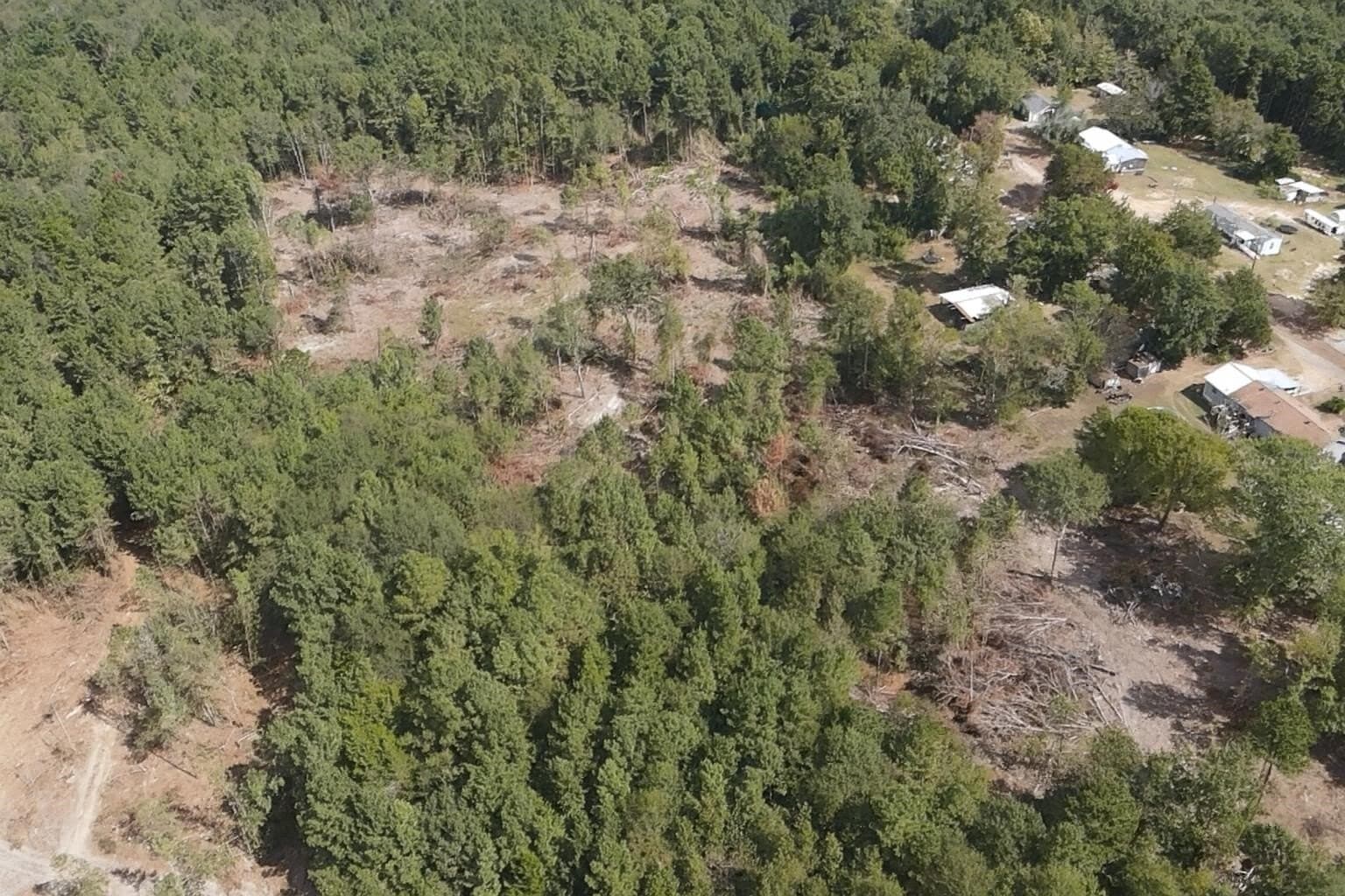 24.6 acres in Rusk County - photo 5