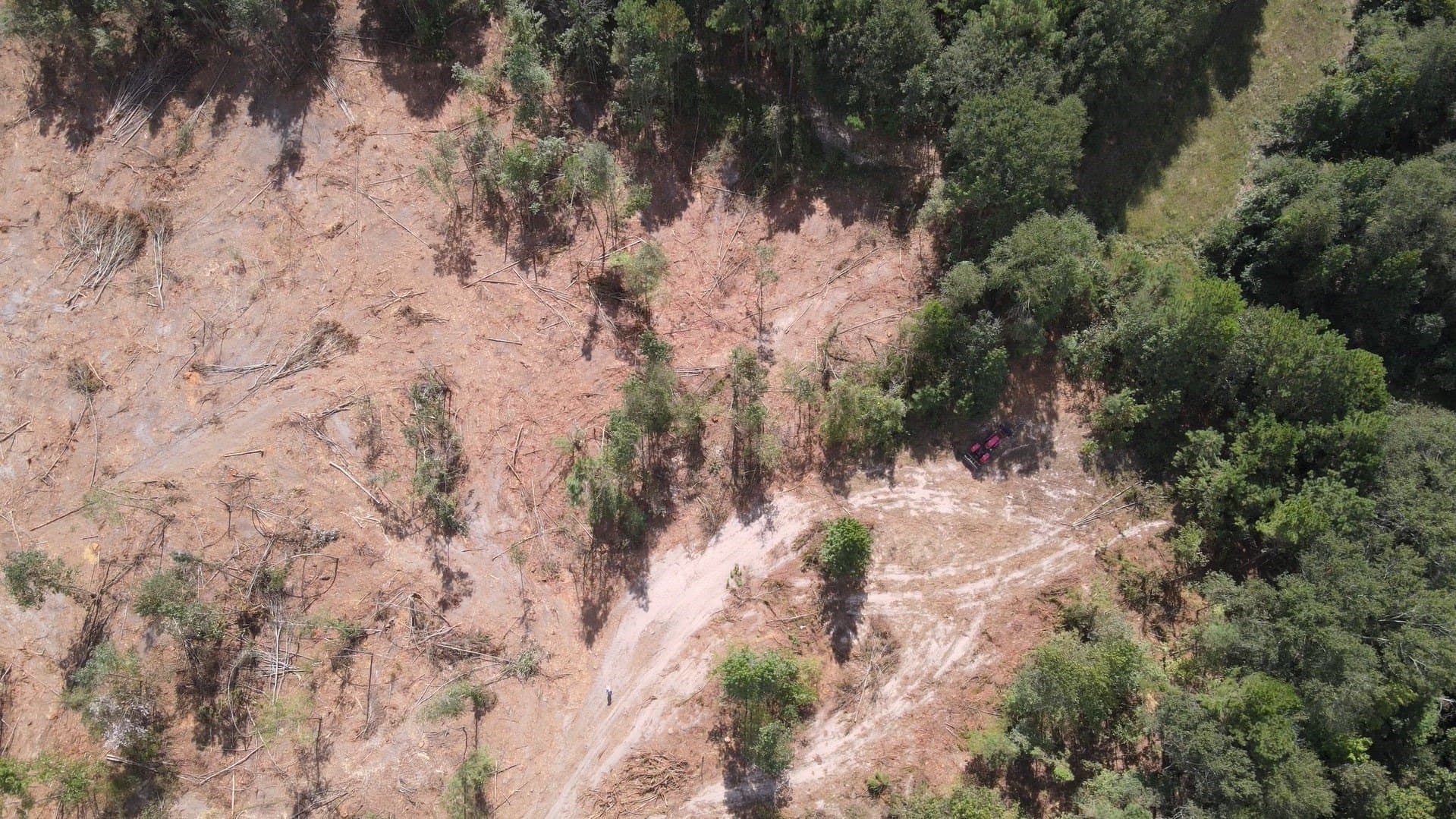 24.6 acres in Rusk County - photo 13