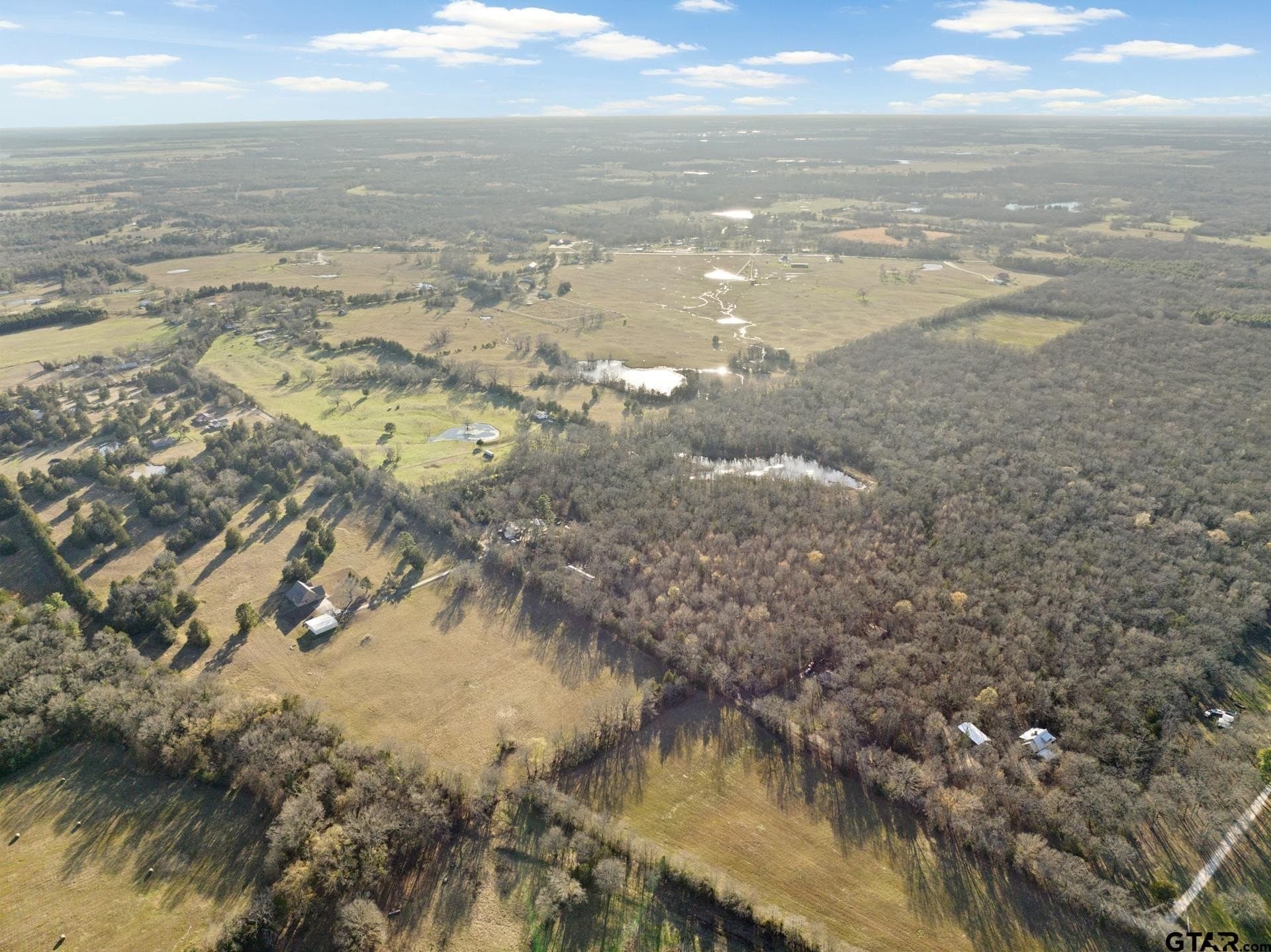83.46 acres in Titus County gallery image 3