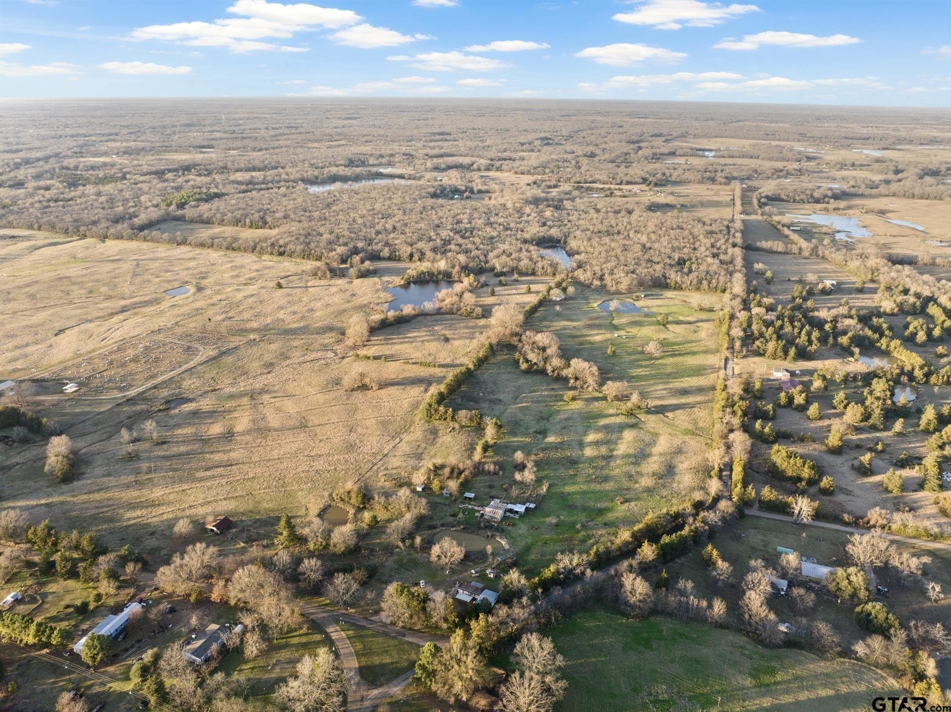 83.46 acres in Titus County gallery image 2