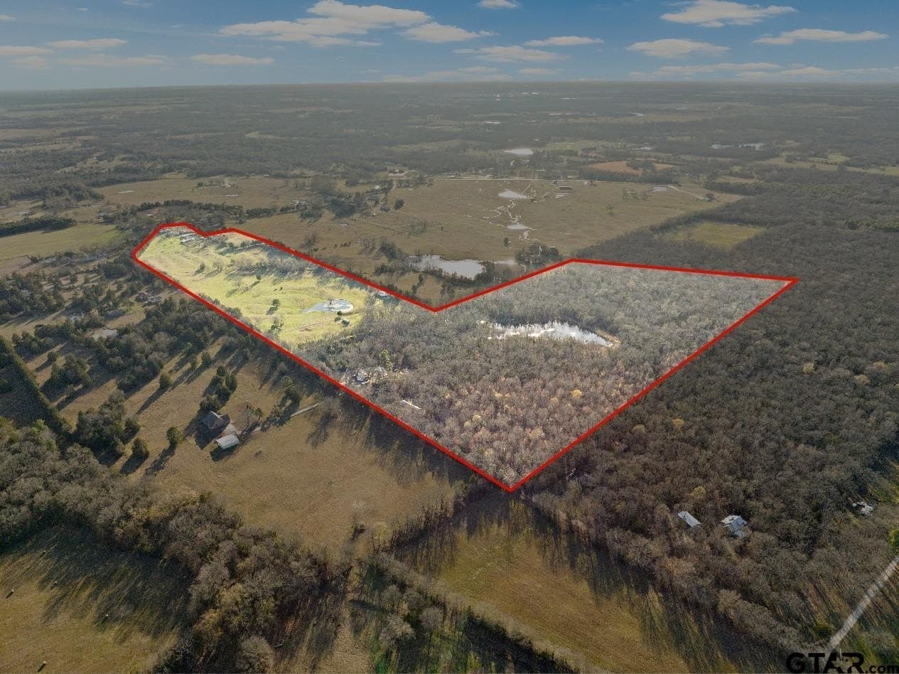 83.46 acres in Titus County gallery image 4