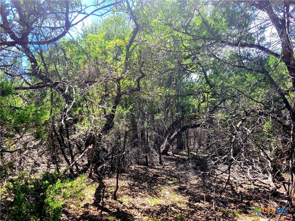 0.9 acres in Comal County - photo 4
