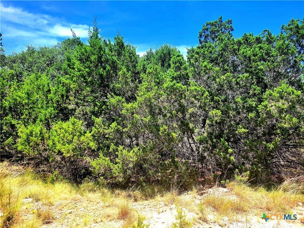 0.9 acres in Comal County - photo 3