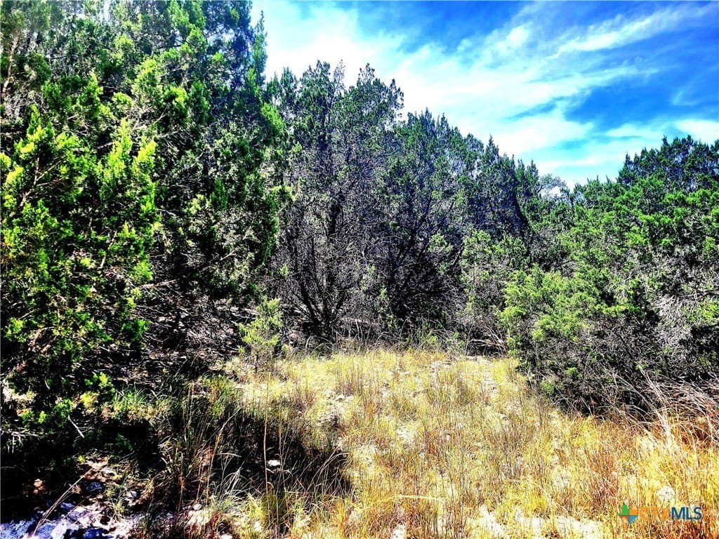 0.9 acres in Comal County