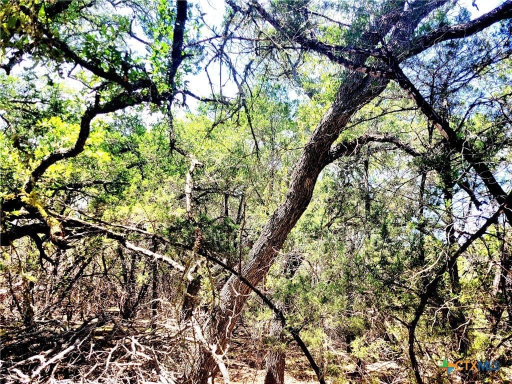 0.9 acres in Comal County - photo 2