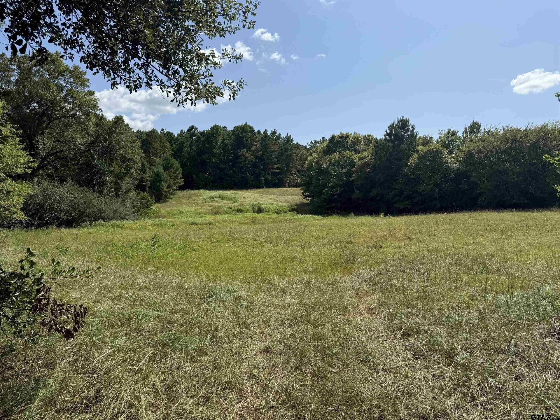 5 acres in Cherokee County gallery image 2