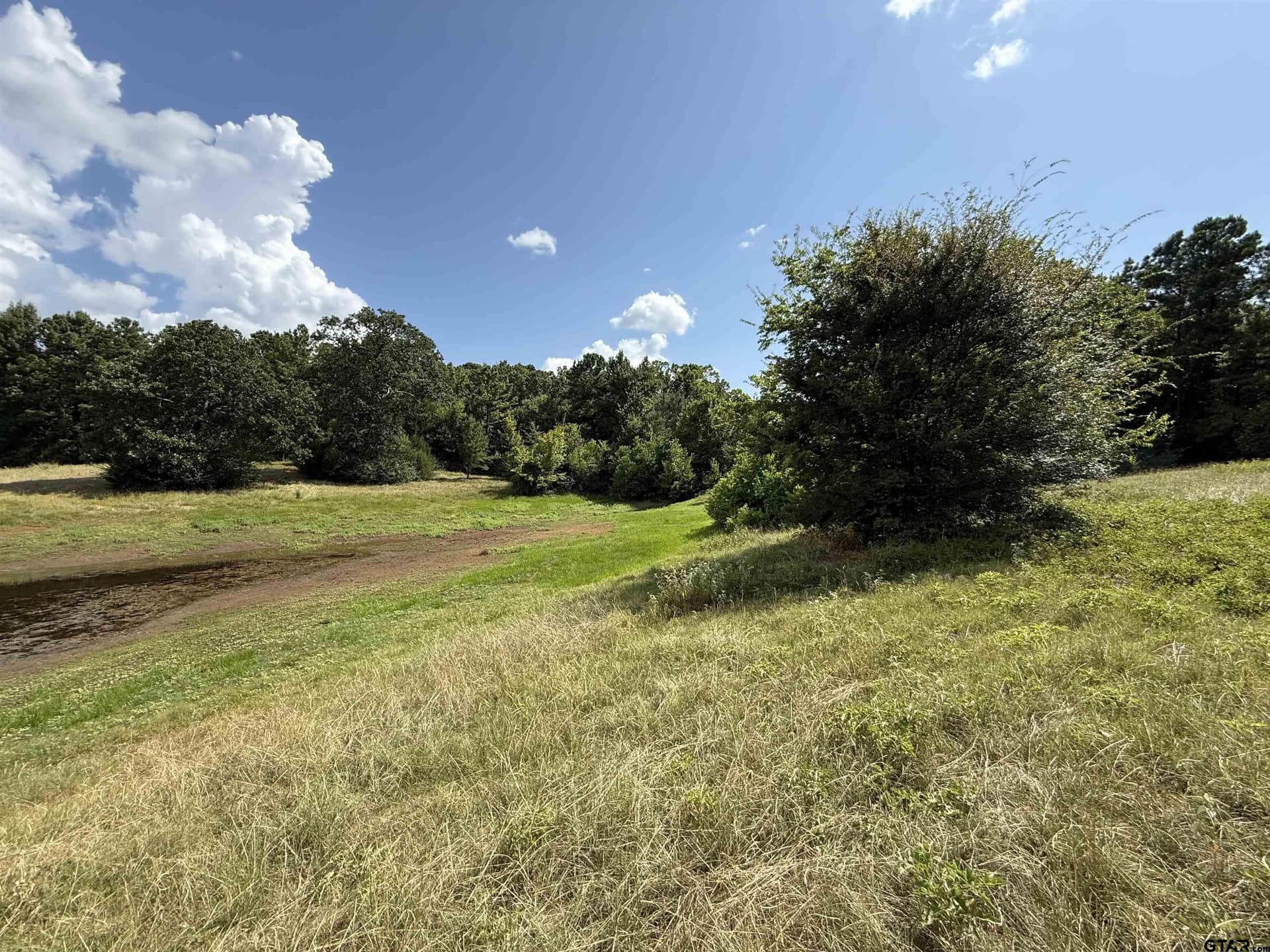 5 acres in Cherokee County gallery image 4