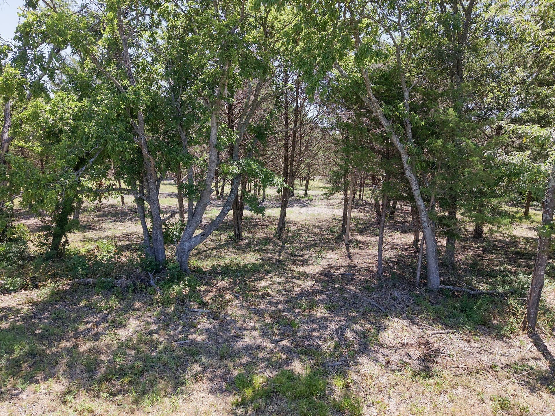 20.09 acres in Hunt County - photo 28
