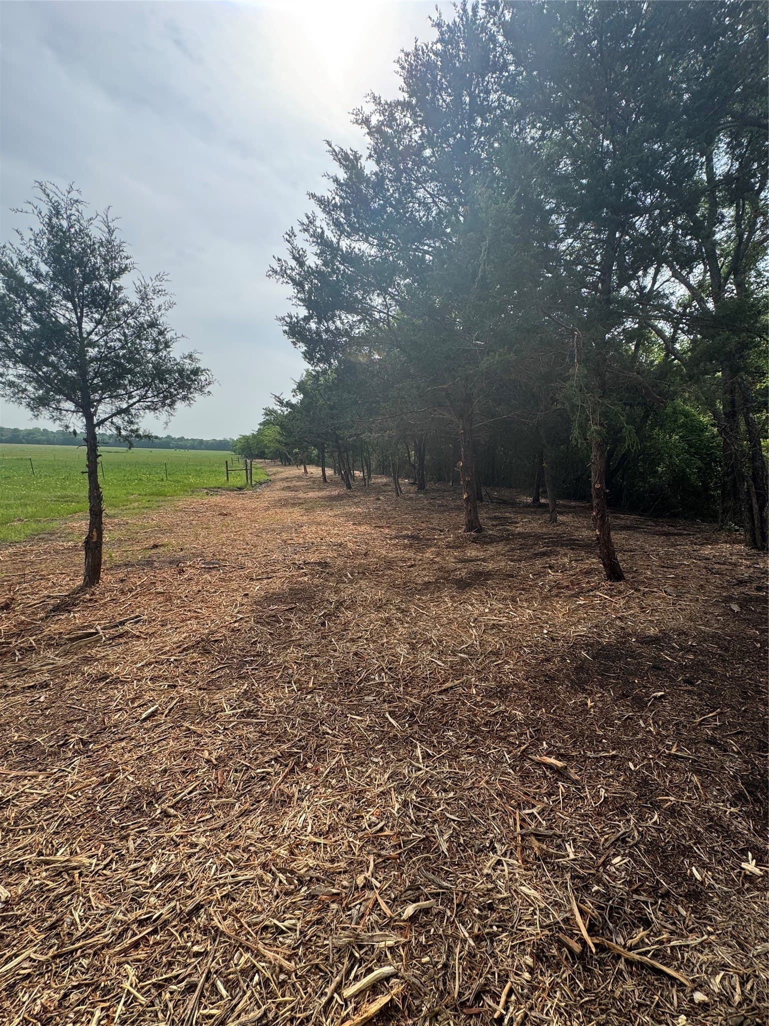 20.09 acres in Hunt County - photo 29