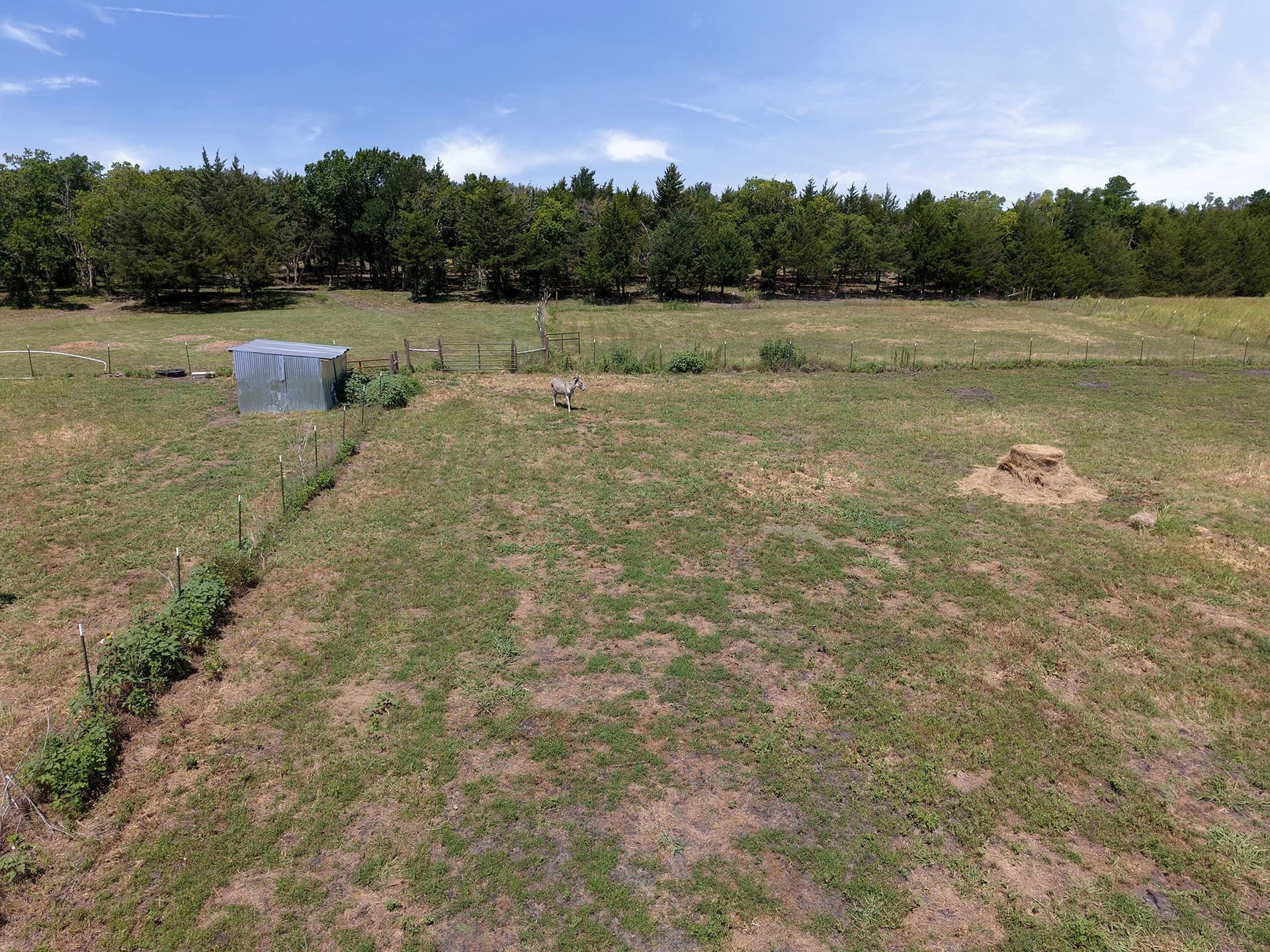 20.09 acres in Hunt County - photo 11