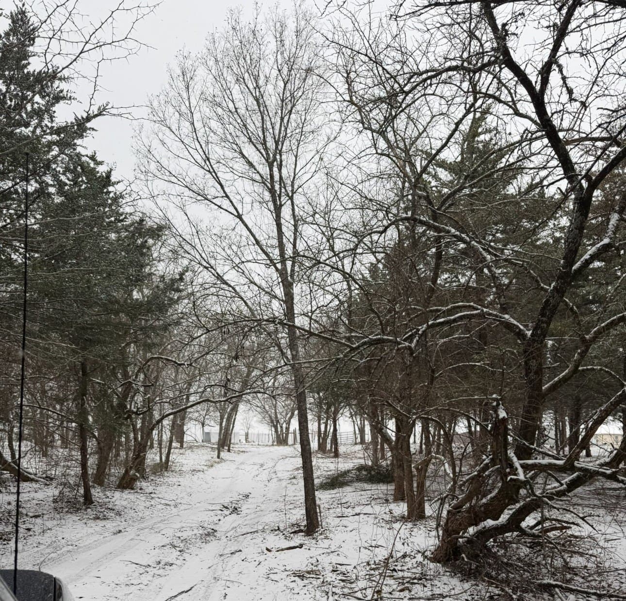 20.09 acres in Hunt County - photo 32