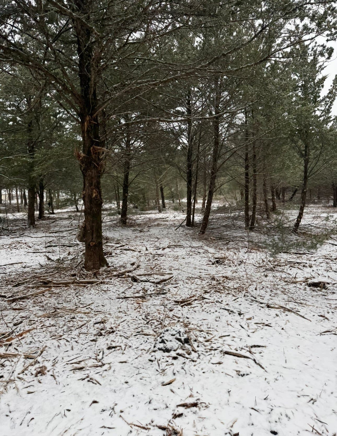 20.09 acres in Hunt County - photo 31