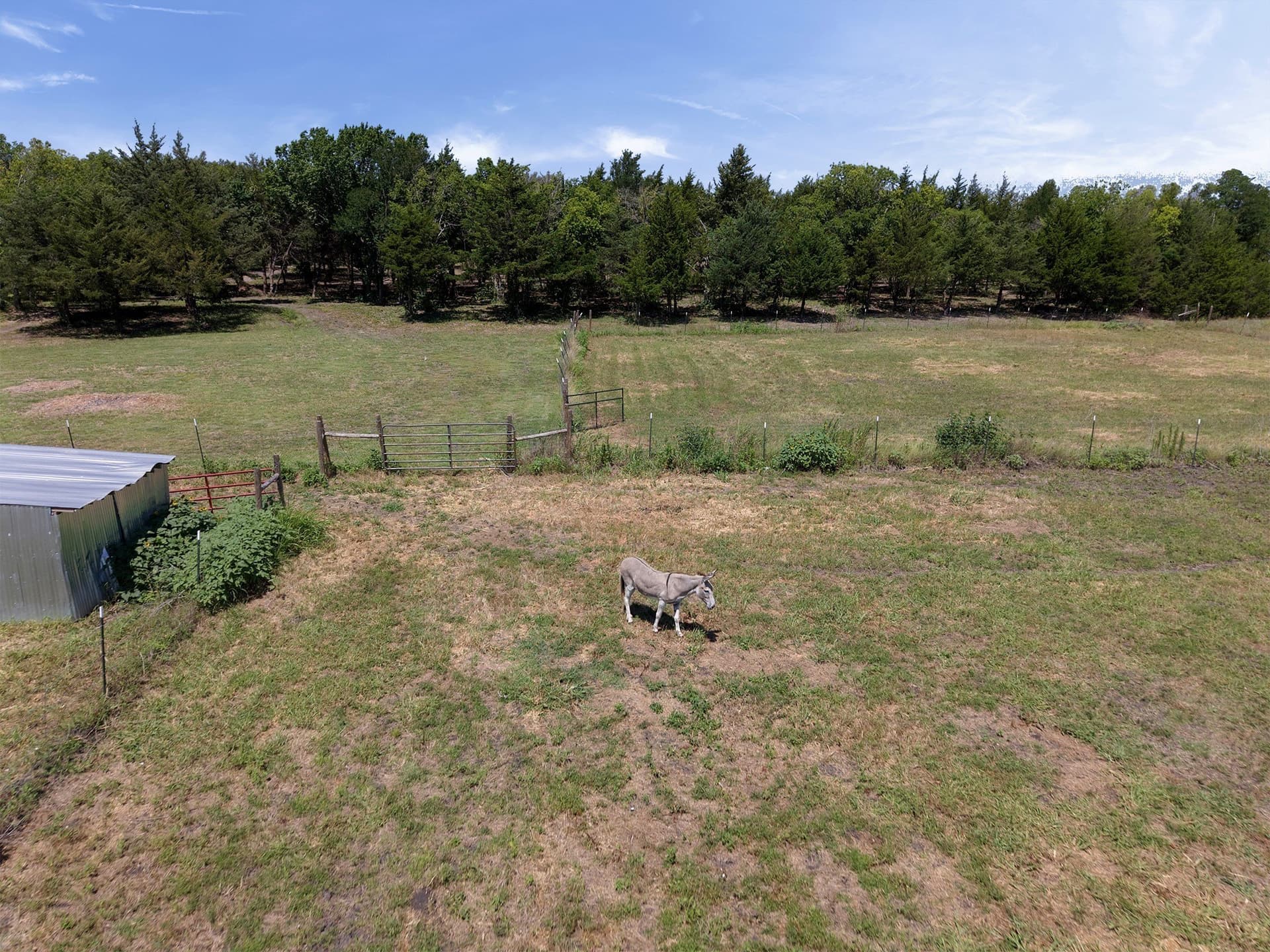 20.09 acres in Hunt County - photo 12