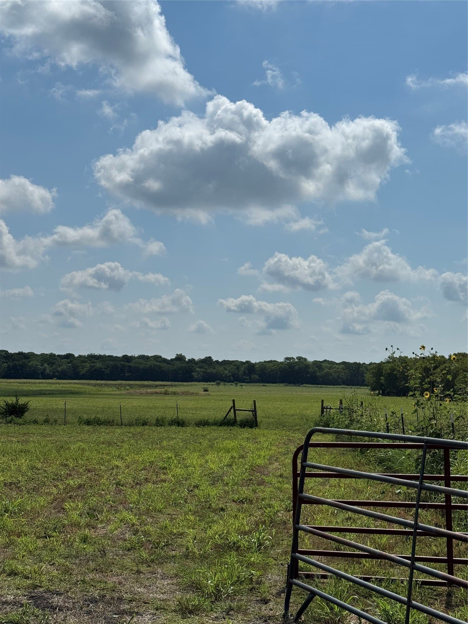 20.09 acres in Hunt County - photo 33