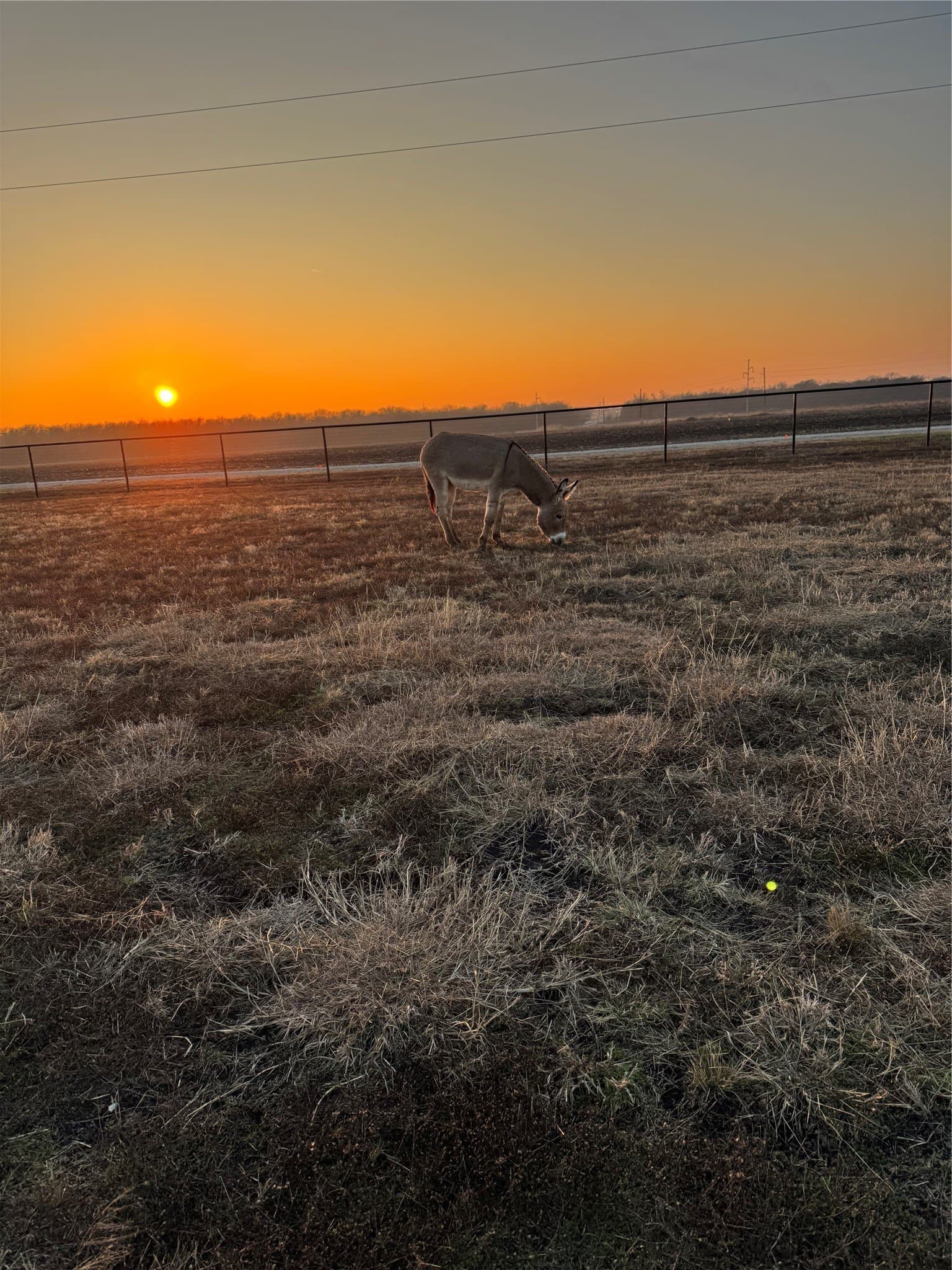 20.09 acres in Hunt County - photo 30