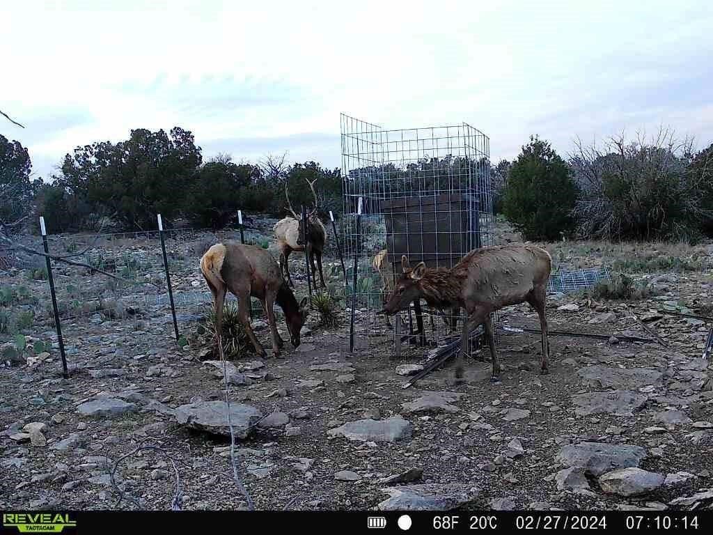 62.96 acres in Val Verde County - photo 13