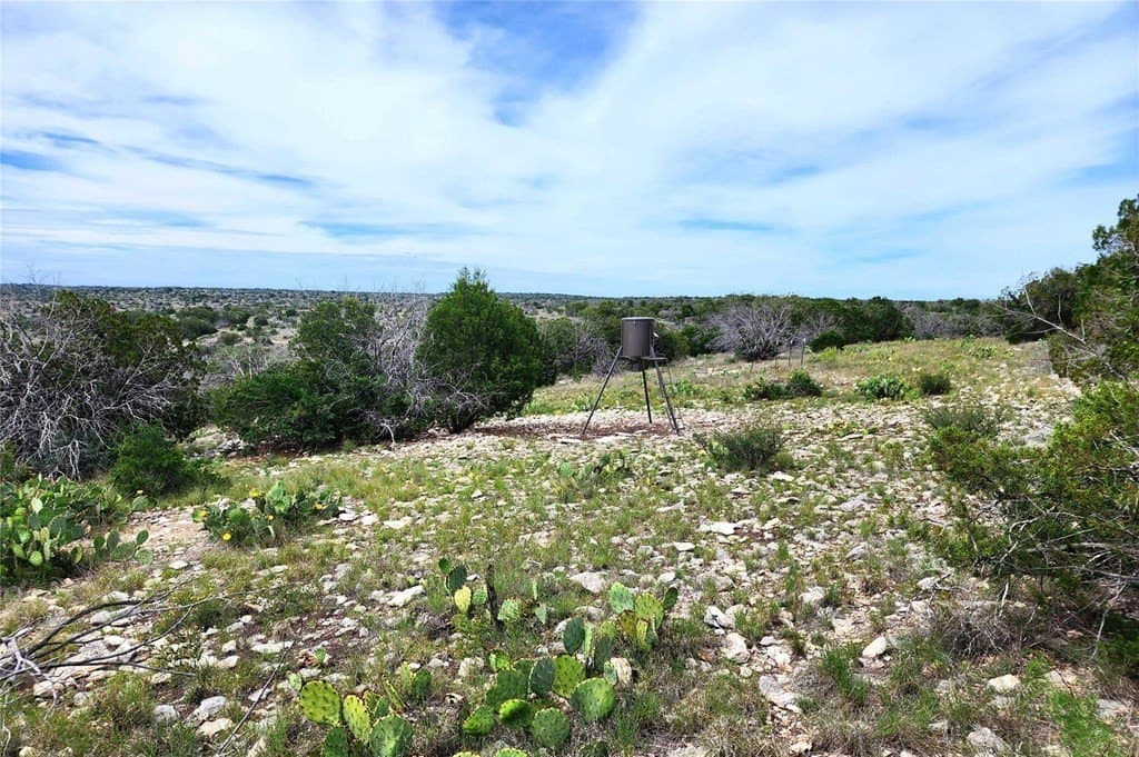 62.96 acres in Val Verde County - photo 10