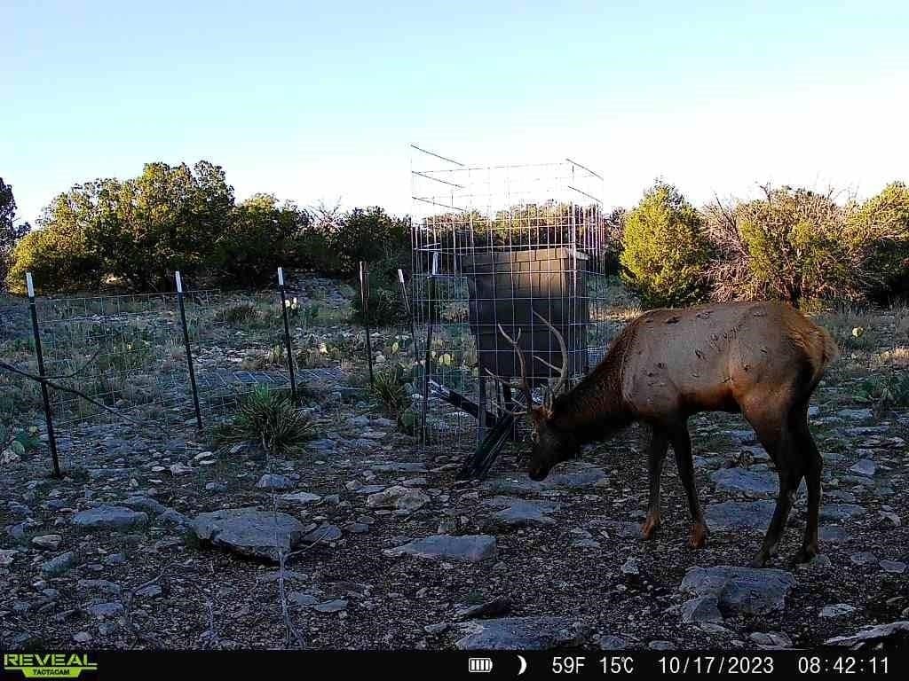 62.96 acres in Val Verde County - photo 12
