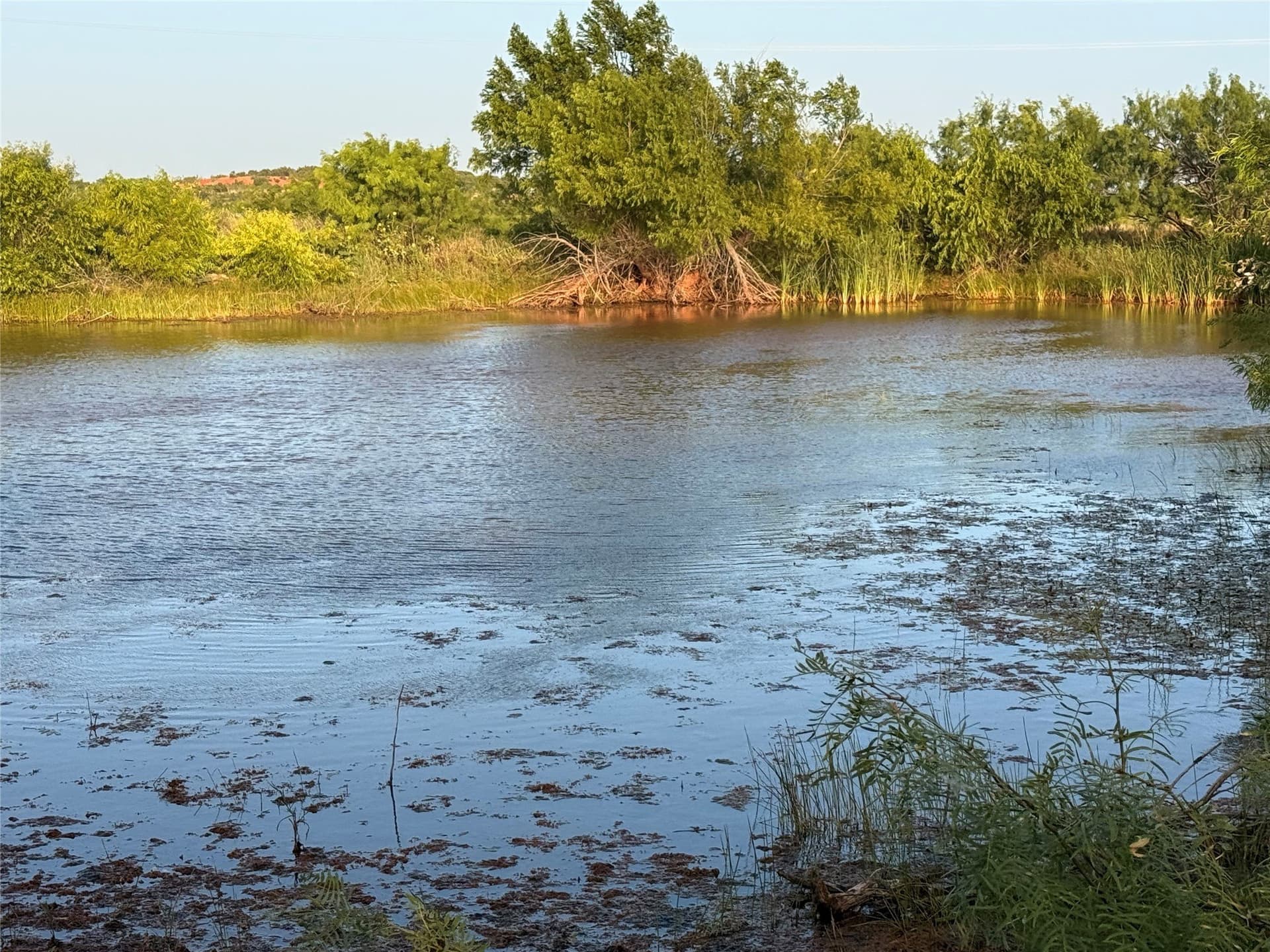 421.03 acres in Taylor County - photo 11