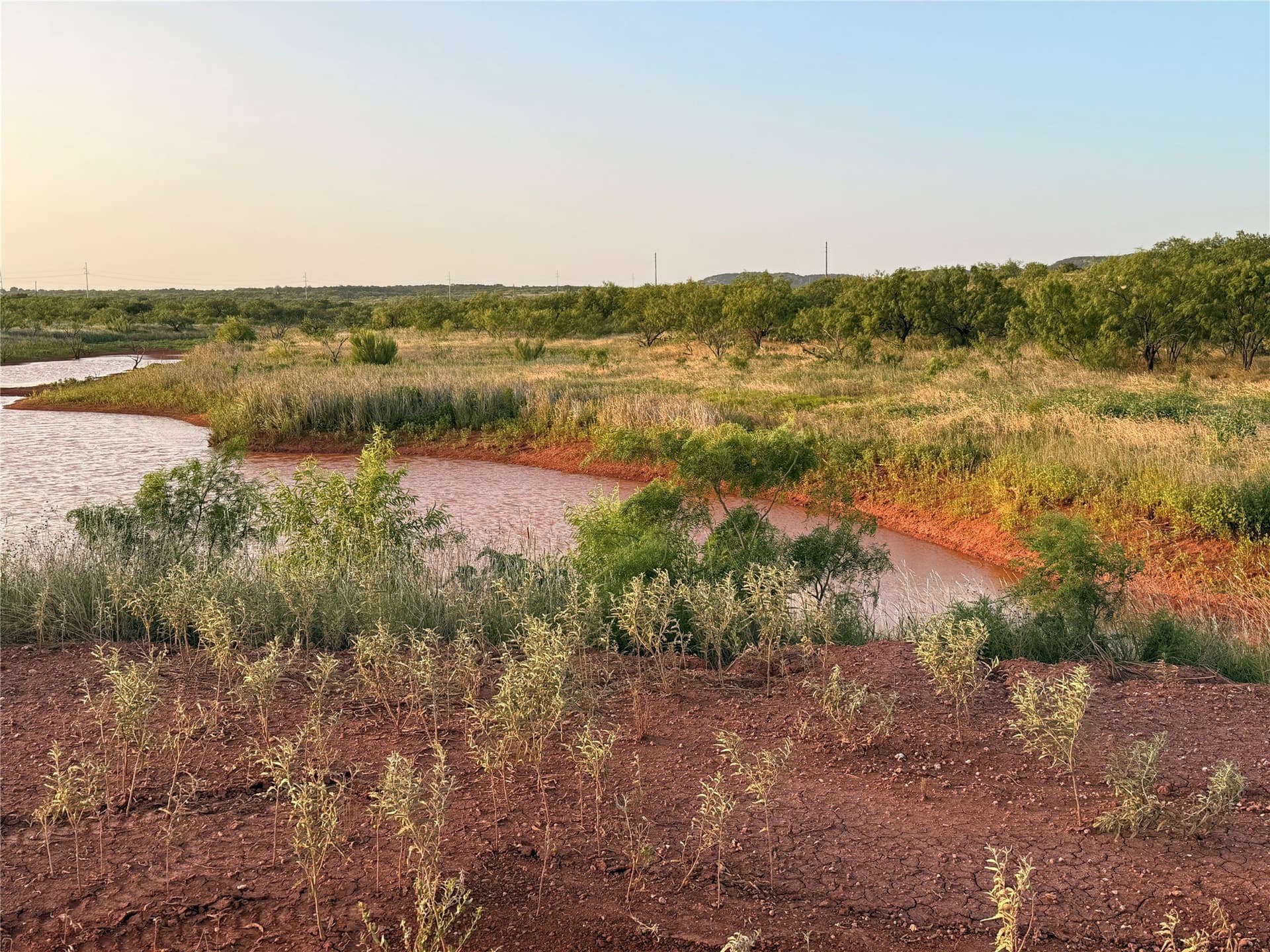421.03 acres in Taylor County - photo 7