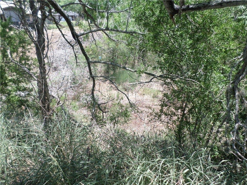 0.47 acres in San Patricio County - photo 6