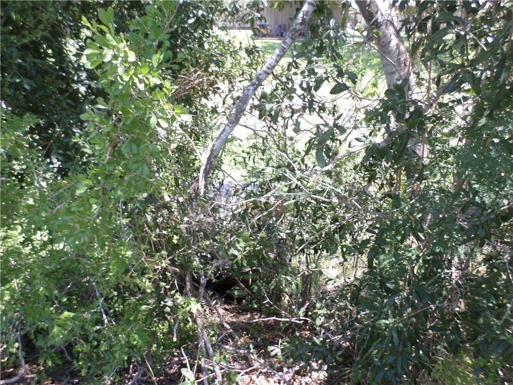 0.47 acres in San Patricio County featured view