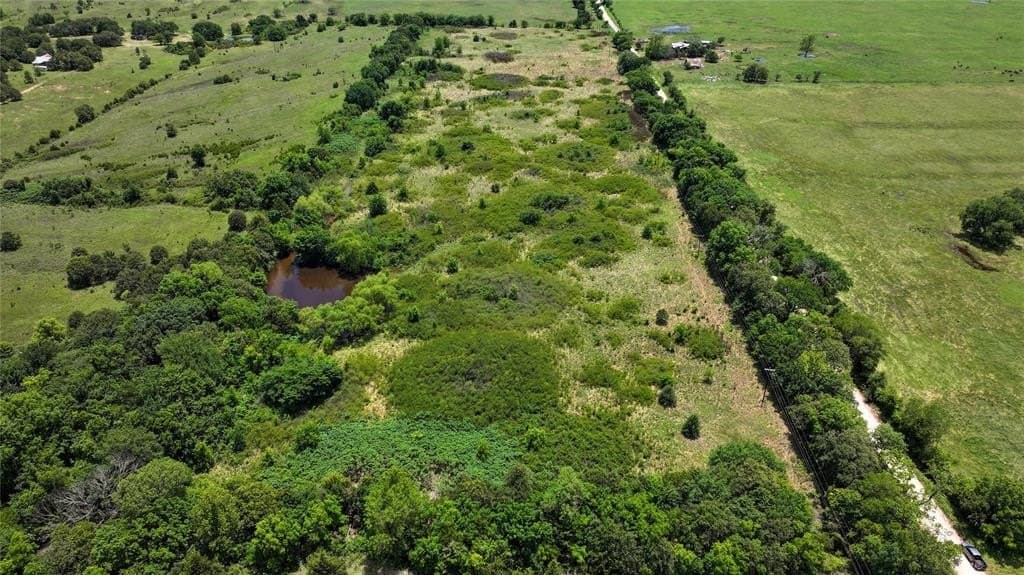 22.3 acres in Montague County gallery image 3