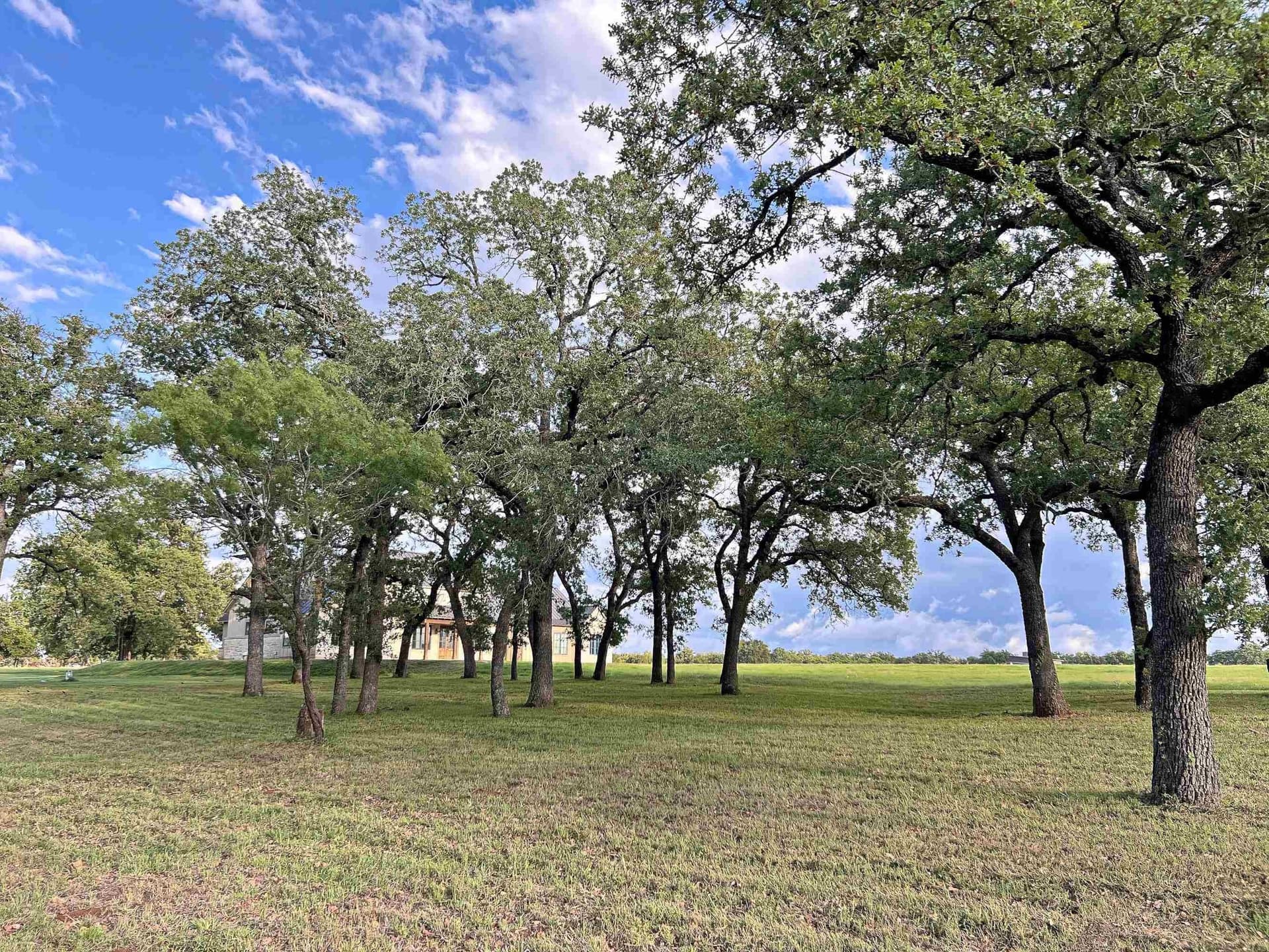 13.23 acres in Gillespie County featured view