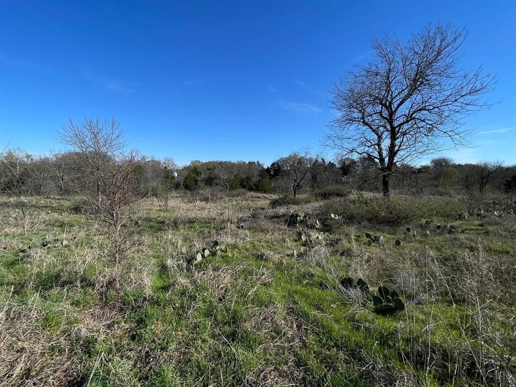 0.72 acres in Grayson County gallery image 3