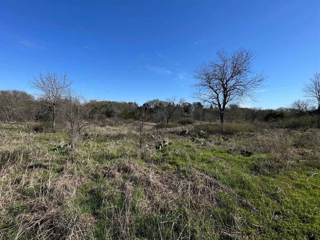 0.72 acres in Grayson County gallery image 4