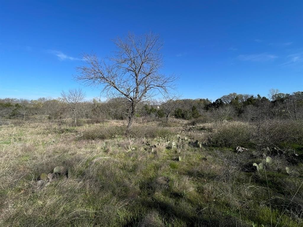 0.72 acres in Grayson County gallery image 2