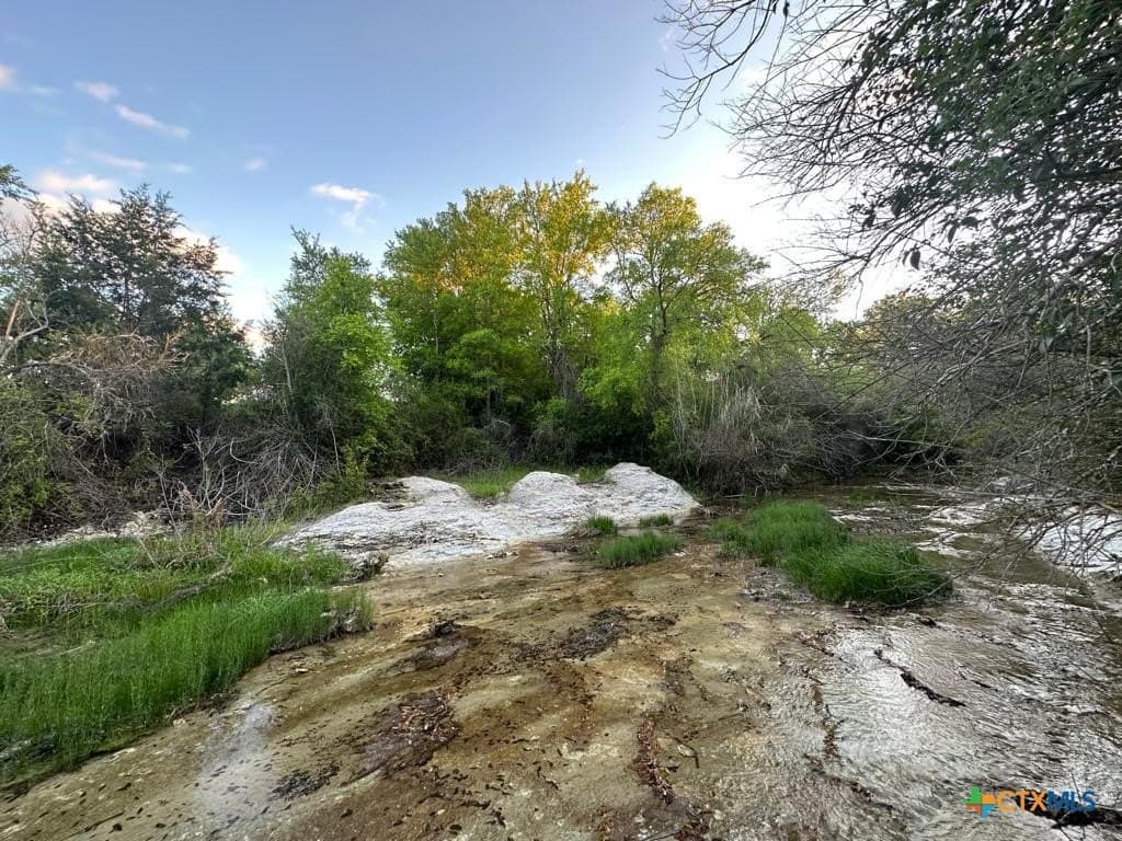 10.01 acres in Coryell County gallery image 4