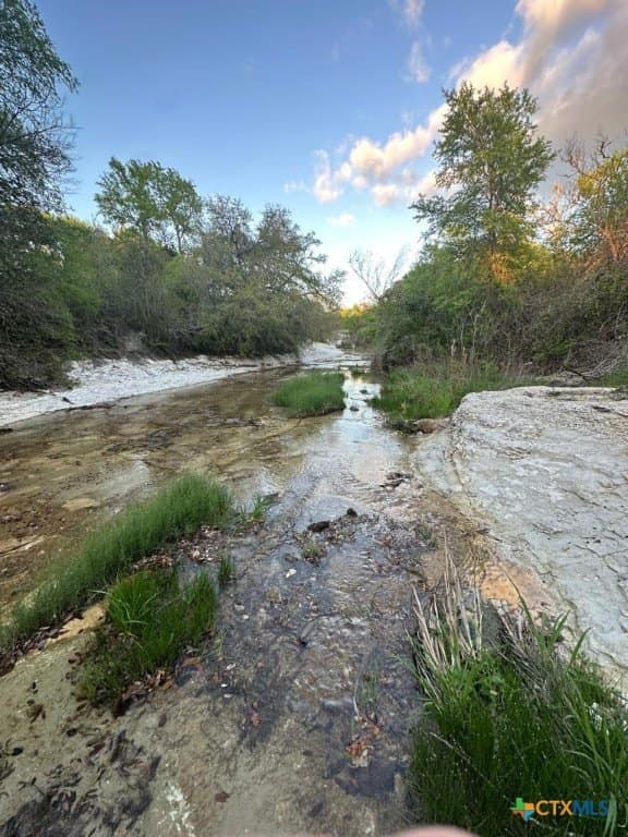 10.01 acres in Coryell County gallery image 2