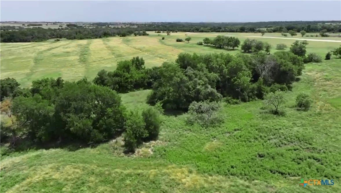 10.01 acres in Coryell County gallery image 3